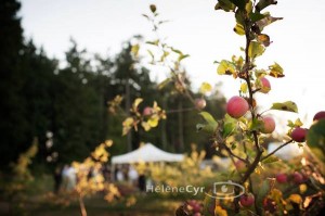 May Day Celebration – Sea Cider Farm & Ciderhouse – May 4th, 11-4