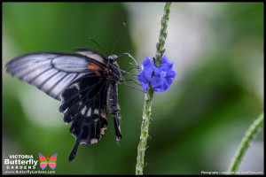 April Tasting Room Promotion