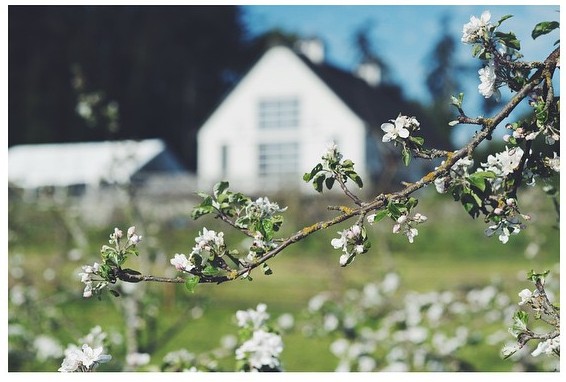 11202618_10153115811075617_4358478811421664479_n