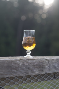 Hello Sweater Weather, Wassail is Here!