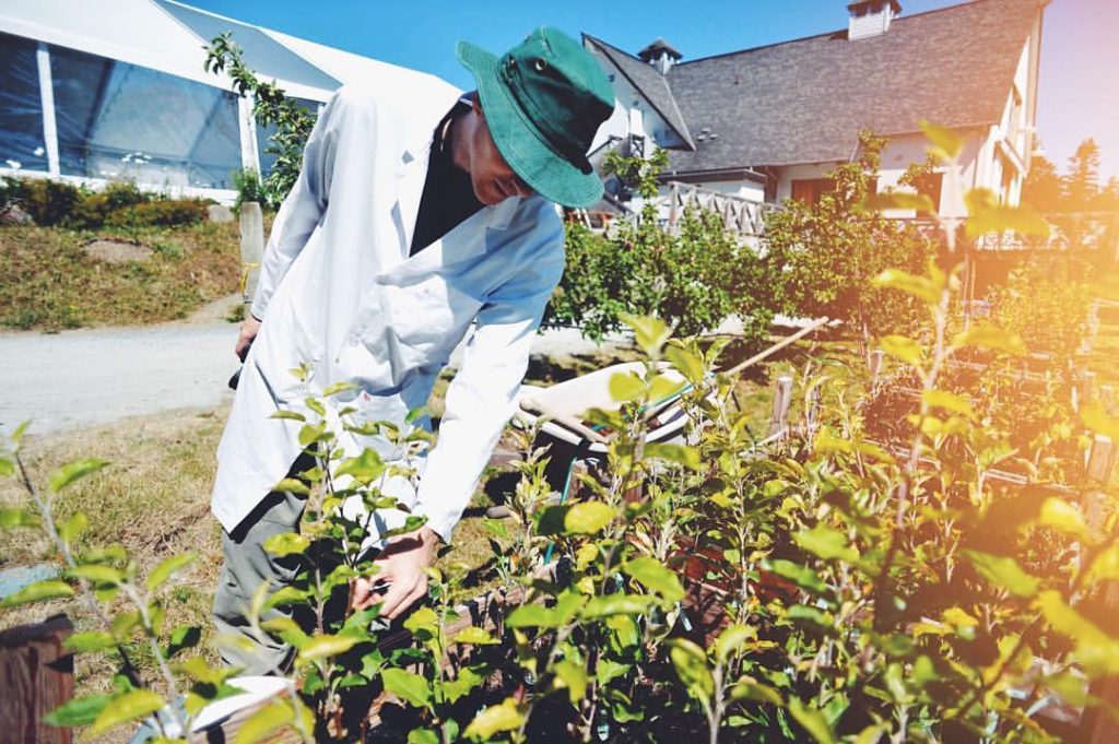 13691177_10154097556245617_7919577053660367510_o