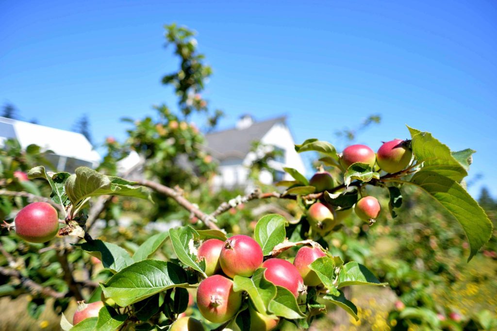 13975294_10154173646440617_6800617985382521842_o