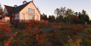 You’re Invited to Apple Day – Sept 24 at Sea Cider!