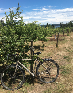July Tasting Room Promo