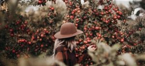 Limited Release: Wild English is Back!