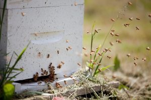 April Tasting Room Promotion