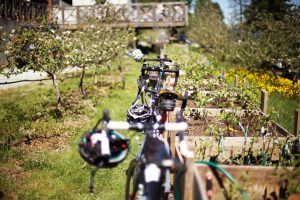 July Tasting Room Promo